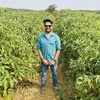 Himanshu Chauhan