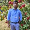 Srimanta Pal