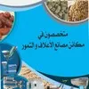 Samy Alaa