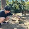 Kris Wang