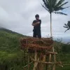 Berita Laser