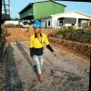 hendra purnama