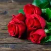 Rakib Islam