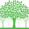 Kairos Management Systems