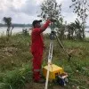 cacang wijaya