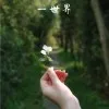 Cherry Wang
