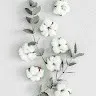 Syeda Rubaisha