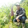 Yuliyanto Adi Nugroho