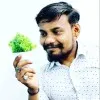 Ankitsinh sisodiya