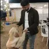 Amit Awadhiya