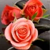 Bandla Swetha