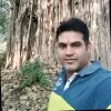 Dhiraj Pachauri