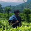 Hari Prasath