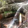 Yagreeswari Pisini