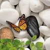Amita Vaishnav