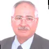 Prof Salah Abdel