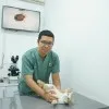 Rahmad Arsy