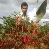 Vinod Biradar