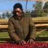 Tesfamariyam Tariku