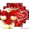 shabbir raza