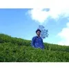 Amal Sai