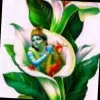 Pammi Mehta