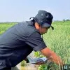 Ahmad Fauzi Nafiudin