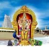 jaga elumalai