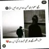 abul hasan