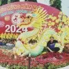 Thai Le