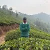 Niranjan Bankar