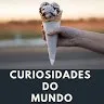 Curiosidades do