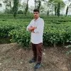 mani kanta