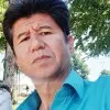 Najeeb Shekib