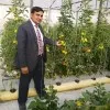 Habib Rehman
