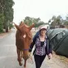 Sue Casey