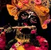 Jitendra Panwar