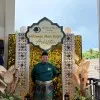 NIQMATULLAH SYAZA
