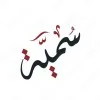 Sumayya Mohsin AICPA® candidate