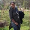 Selvi