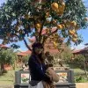 Phuong Anh Tran Thi
