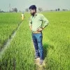Nirbhay Choudhary