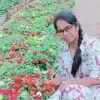 Gomathi