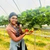 bhargavi priya