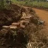 Javan Munanukye