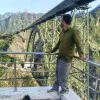 Aqib Javed Shah