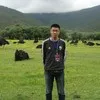 Yi Chen