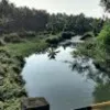 Kajal HS