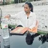 Mamata KC