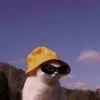 Harshitha